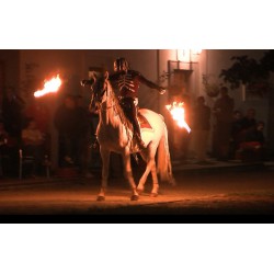 CR - animals - entertainment - horses - fire show - fire - viewers