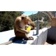 Sri Lanka - animals - nature - monkey - feeding
