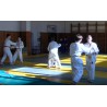  ČR - Litoměřice - sport - judo - senioři - junioři - tělocvična - děti