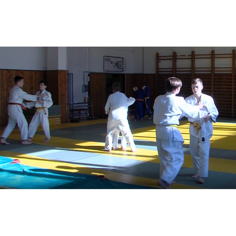  ČR - Litoměřice - sport - judo - senioři - junioři - tělocvična - děti