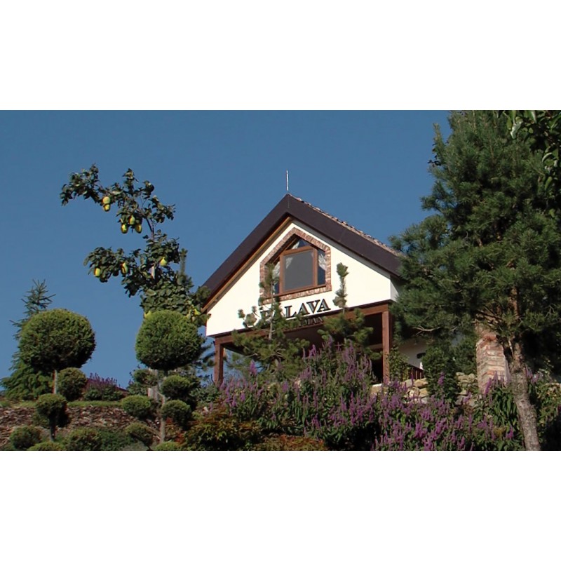  ČR - Velké Pavlovice - budovy - hotel - Šlechtitelka - vinařství - pokoj