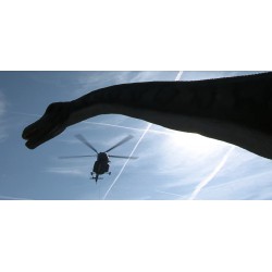 CR - Prague - Helicopter - Material Transportation - Dinosaurs