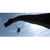 CR - Prague - Helicopter - Material Transportation - Dinosaurs