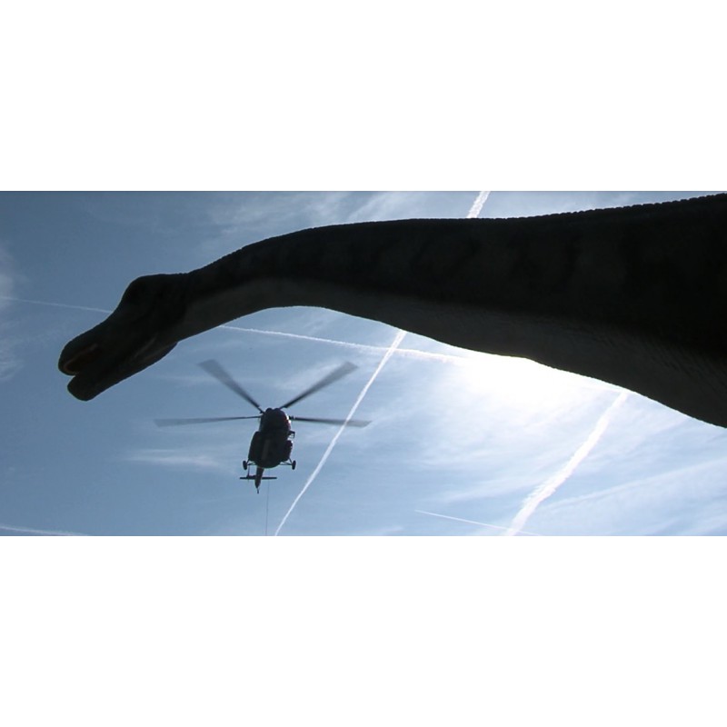 CR - Prague - Helicopter - Material Transportation - Dinosaurs