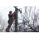  CR - industry - electricity - high voltage - wires - electrician - fitter - control