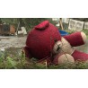 CR - nature - flood - flooding - clearing - rain - damage