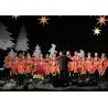 ČR - vzdělávání - škola - vánoční koncert - děti - zpěv