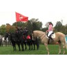 NEWS - CR - Velká Pardubická - Jan Kratochvíl - horse race - horses - hats - fashion