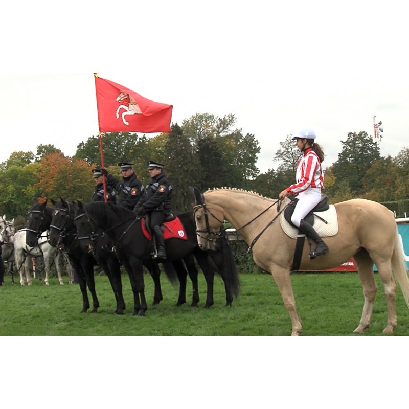 Aktualita - ČR - Velká Pardubická - Jan Kratochvíl - dostihy - koně - klobouky - móda