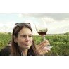 ČR - příroda - vinohrad - vinná réva - víno - vinobraní - sklenice - alkohol - degustace