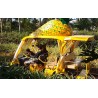 Japan - nature - pineapple - people - entertainment - Pineapple park