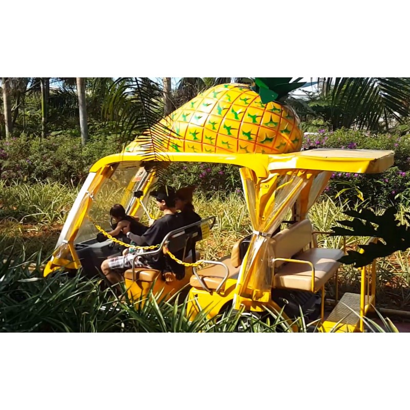 Japan - nature - pineapple - people - entertainment - Pineapple park