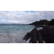 Japan - nature - Okinawa - sea - beach - ocean - palms - hotels