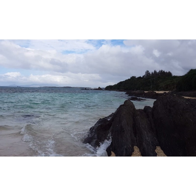 Japan - nature - Okinawa - sea - beach - ocean - palms - hotels