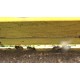 CR - Bees - Beekeepers