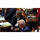 CR - chamber of deputies - ANO - extradition - prosecution - Babiš - Faltýnek - Čapí hnízdo