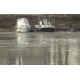 CR - nature - ice - snow - cold - winter - influenza - dustman