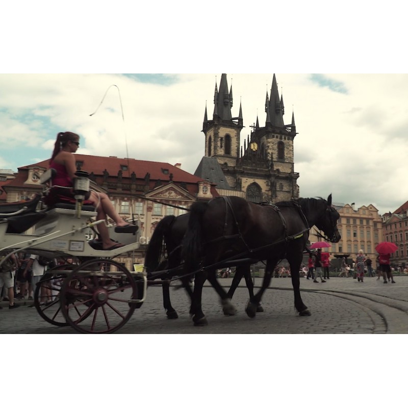 ČR - Praha - města - Staroměstské náměstí - kočár - koně - Karlín