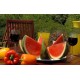 CR - trade - Mountfield - garden furniture