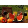 CR - trade - Mountfield - garden furniture