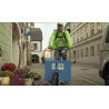 ČR - obchod - služby - květiny - květinářství - poslíček - messenger 1