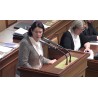 News - CR - Prague - chamber - trust in government - Zeman - Babiš - statements - opposition - 2018