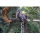  Zvířata - ZOO - lemur - rybník - plavání