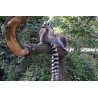  Zvířata - ZOO - lemur - rybník - plavání