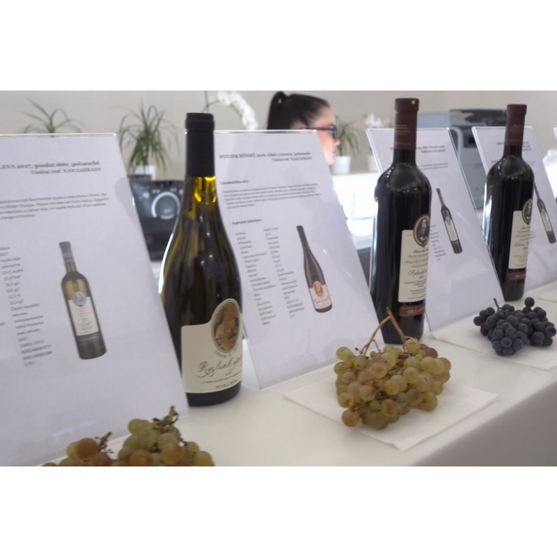 ČR - obchod - víno - šampaňské - vinařství - degustace