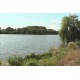 CR - nature - field - Turyňský - pond - water - birds - flowers - tree