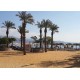Israel - Eilat - travelling - tourism - sea - Red sea - promenade - palm