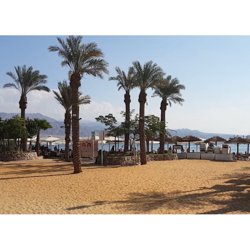 Izrael - Eilat - cestování - turistika - moře - Rudé moře - promenáda - palma
