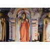 Srí Lanka - Dambulla - chrám - cestování - architektura - historie - Buddha - 2K