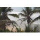 Sri Lanka - nature - ocean - sea - Indian - beach - bathing - summer - holiday - surf - 2K