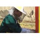 CR - education - apprentice - gardener - fruit grower - greenhouse - beekeeper - bee