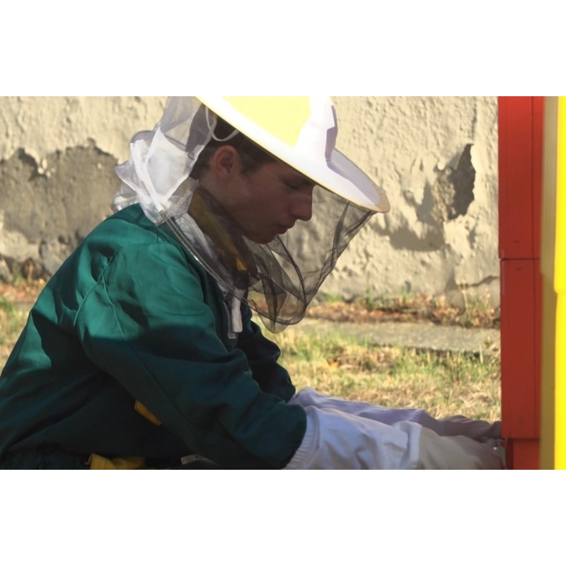 CR - education - apprentice - gardener - fruit grower - greenhouse - beekeeper - bee