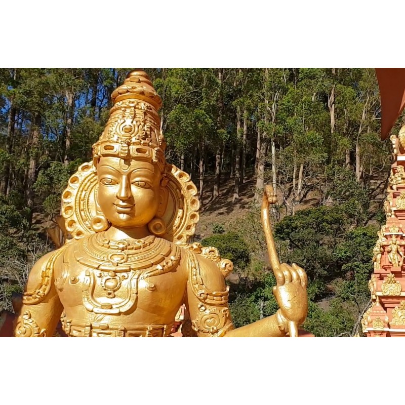  Srí Lanka - Nuwara Eliya - cestování - turistika - jezero - loď - labuť - čepice - 2K