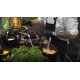  CR - business - marketing - projection - laser - reception - tasting