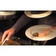 CR - people - business - reception - meal - food - tasting - fish - salmon