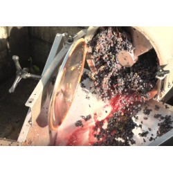 CR - agriculture - nature - vineyard - grapes - pressing - wine