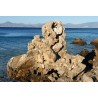 Greece - travelling - sea - cicada - beach - stones - rocks