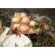 CZ - agriculture - crop - field - farm - onion