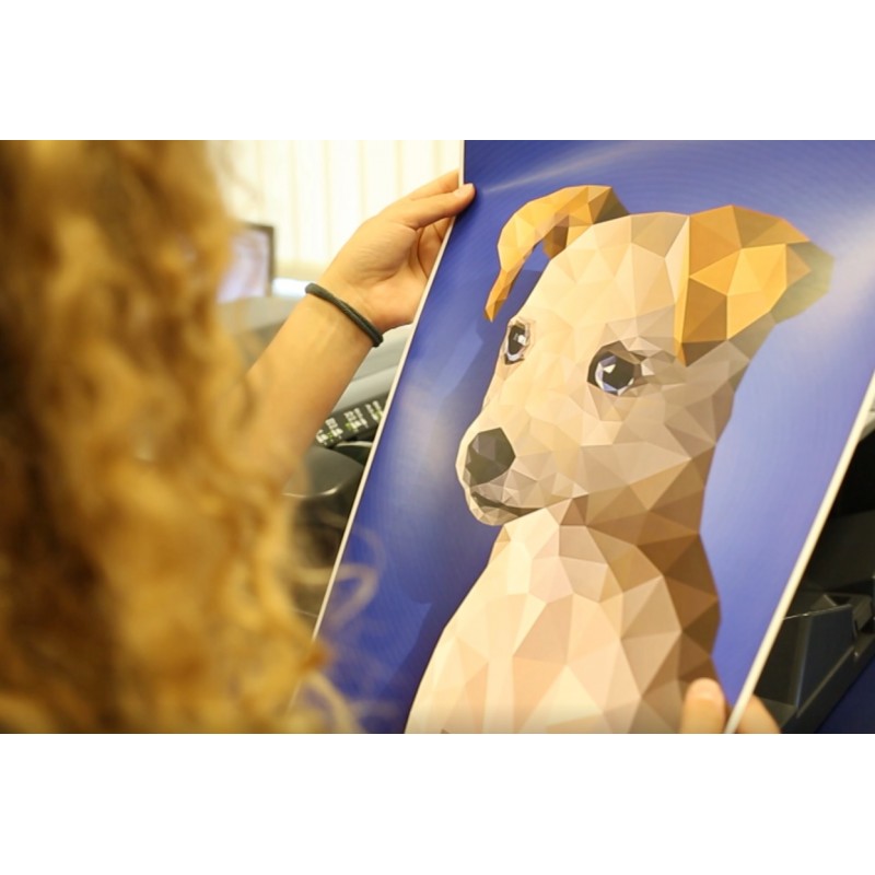 CZ - Zlín - printing - printer - stamping - photo - poster - graphics