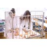 ČR - Brod - vzdělávání - zdravotnictví - škola - dětská sestra - pediatrie - modely - přípravka