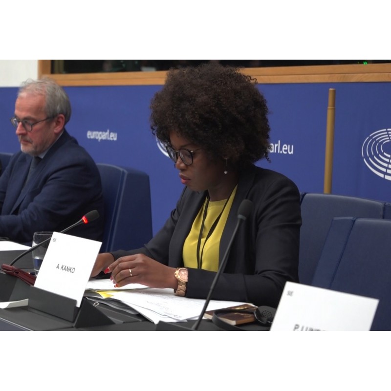 Francie - Belgie - Strasbourg - Evropský parlament - lidé - politika - Assita Kanko - ECR