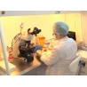  CZ - health care - embryo - cell - division - artificial insemination - fertilization - laboratory - microscope - IVF