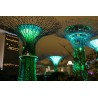Asia - Singapore - city - world - Gardens by the Bay - music - night - show - lights