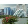 Asie - Singapur - města - svět - mrakodrap - ruské kolo - Gardens by the Bay