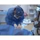 ČR - zdravotnictví - oční - klinika - oko - operace - sál - čočka - pacient - sestra - doktor