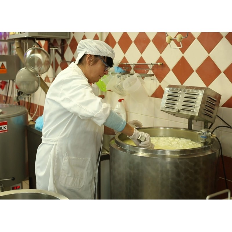 CZ - business - production - whey - cottage - cheese - goat - food - shop